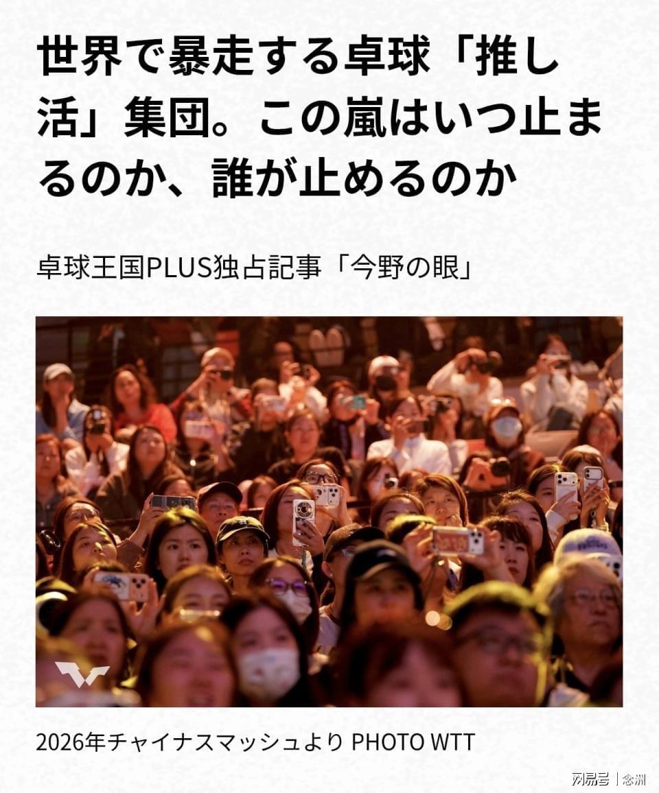 专业BG真人官网服务