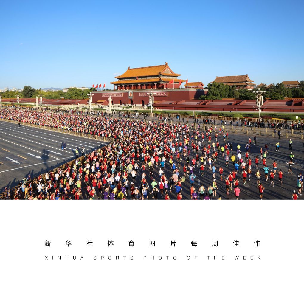 BG真人视讯产品图片