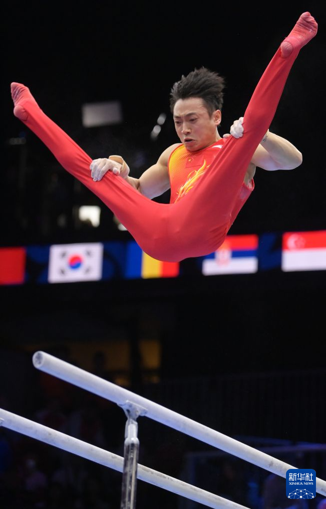 专业BG真人百家乐服务